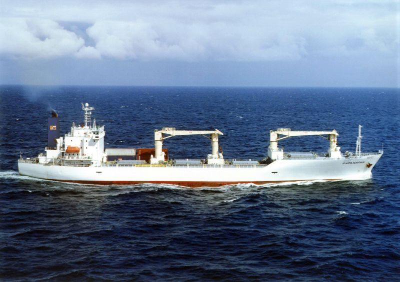 AtlanticAcanthus TCD