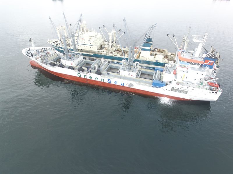 DCIM100MEDIADJI 0073.JPG