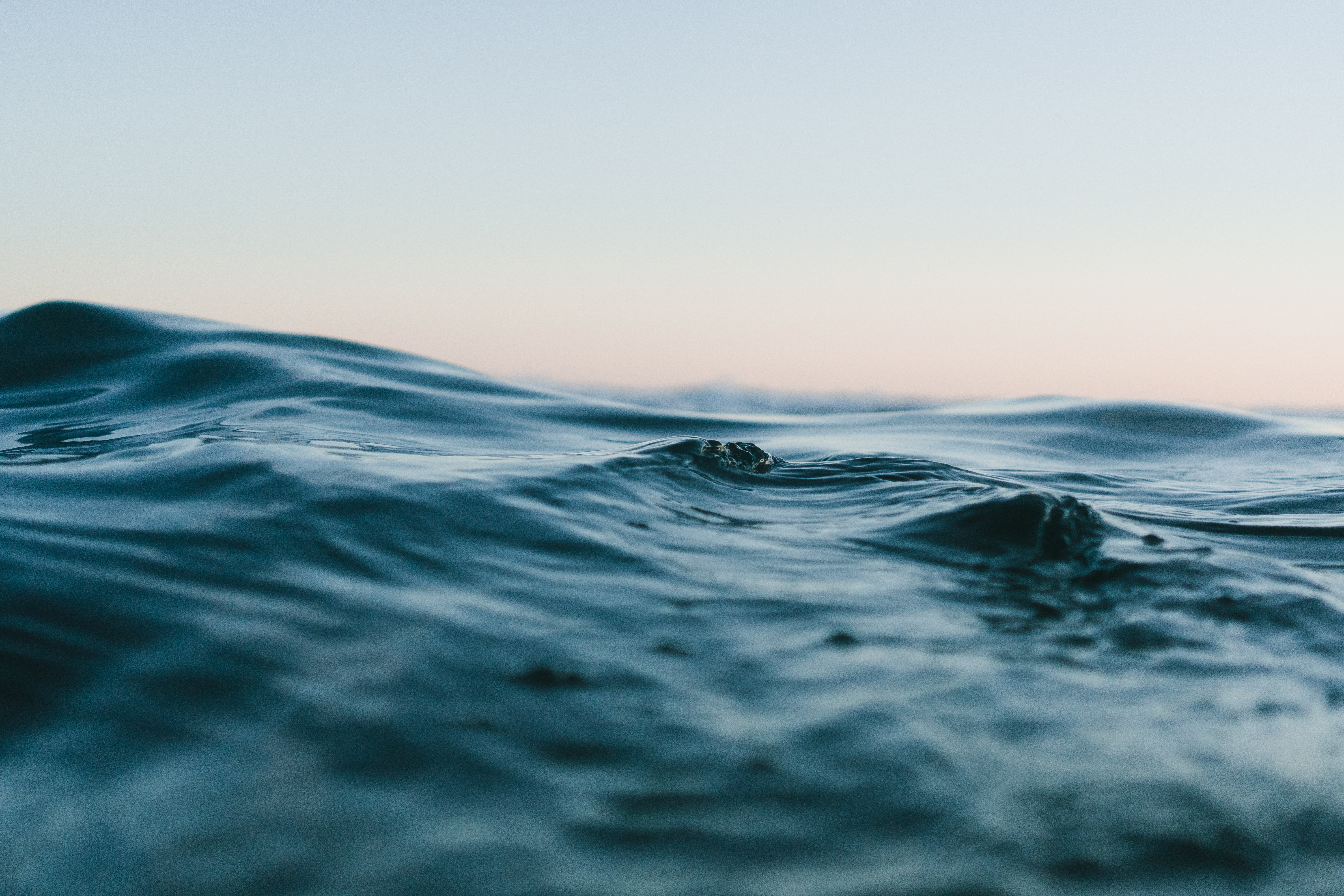 Matt Hardy 6ArTTluciuA Unsplash